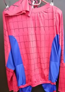 Kids Costumes to Hire - SpiderTEEN - 3pce